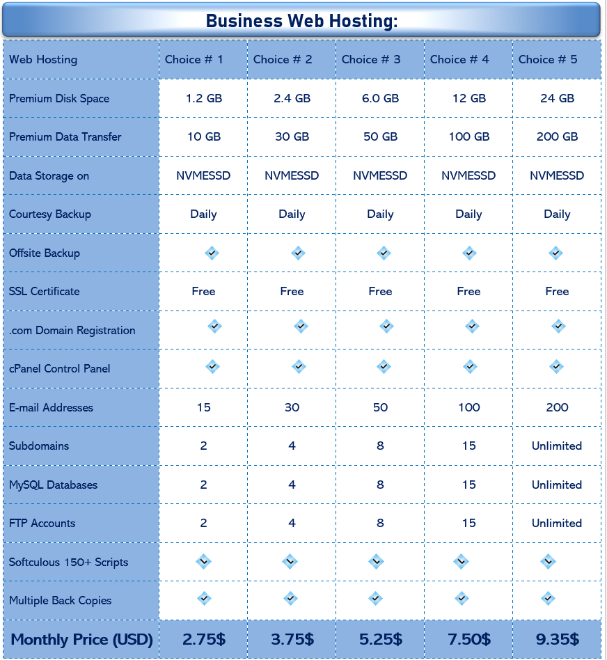 System Developers Business Web Hosting Packages