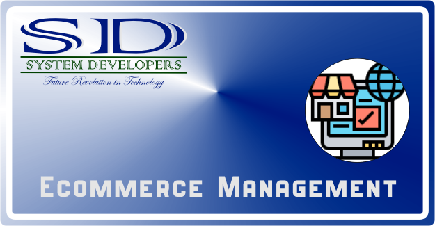 System Developers Ecommerce Management