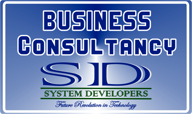 System Developers Business Consultancy