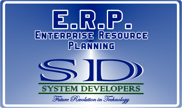 System Developers ERP Enterprise Resource Planning