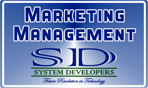 System Developers Digital Medial Management Services