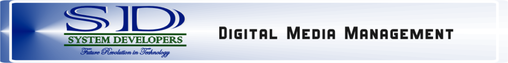 System Developers Digital Marketing Management