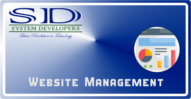 System Developers ERP Website Management System