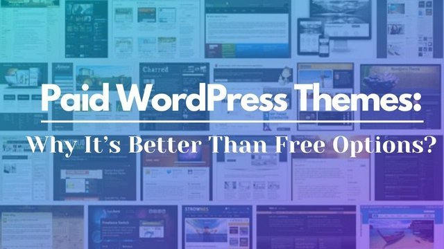 WordPress Paid Themes