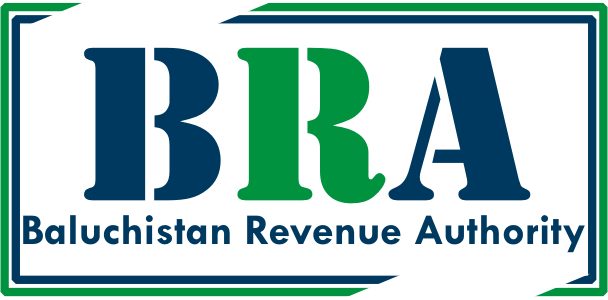 System Developers Baluchistan Revenue Authority Services