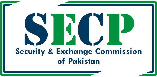 System Developers SECP Services